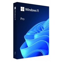 Windows 11 Pro, 64bit, English, Retail (USB)